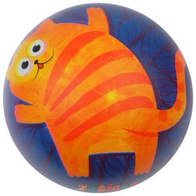 Мяч детский «Котик», d=22 см, 60 г Ош