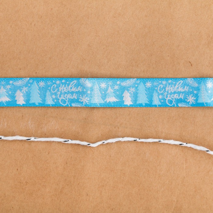 Лента атласная декоративная «Зимняя сказка», 2 см × 2 м