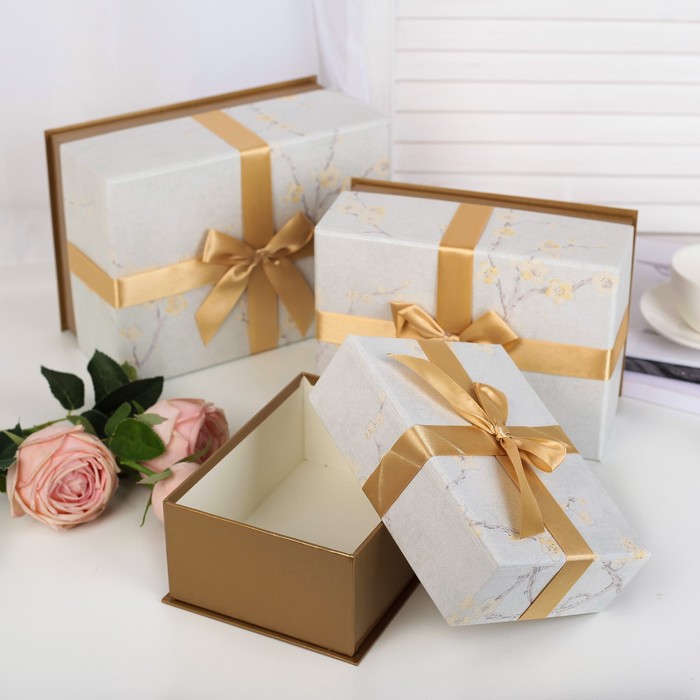 Набор коробок 3в1, бежевый, 25 х 18 х 12 - 19 х 14 х 8 см