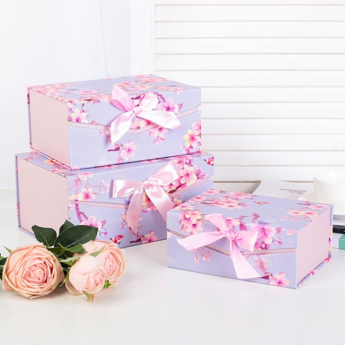 Набор коробок 3в1, 25 х 18 х 12 - 19 х 14 х 8 см