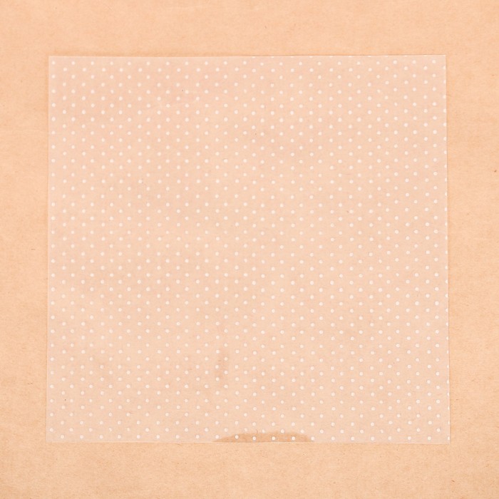 Ацетатный лист для скрапбукинга «Горошек», 20 × 20 см