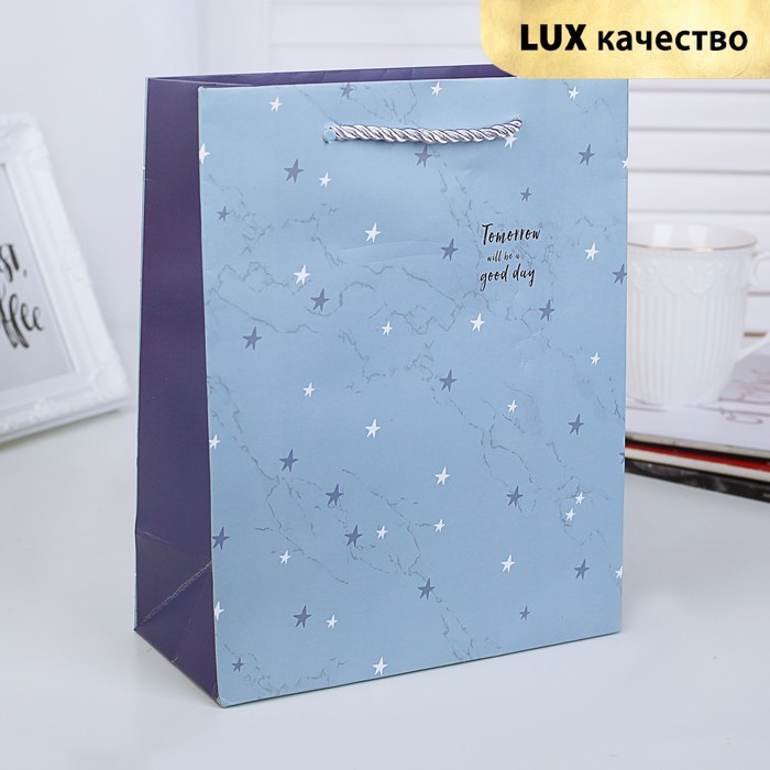 Пакет подарочный "Звёзды", люкс, 19,5 х 9,5 х 24,5 см