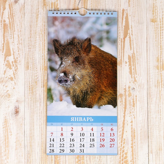 Календарь перекидной, ригель и пружина "Символ года - 3" 2019 год, 16,5х34см