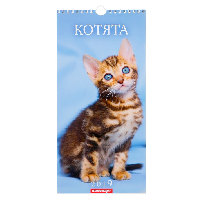 Календарь перекидной, ригель и пружина "Котята" 2019 год, 16,5х34см