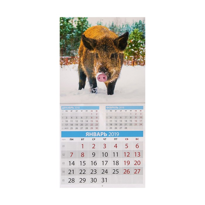 Календарь на скрепке "Символ года - 2" 2019 год, 28,5х28,5см