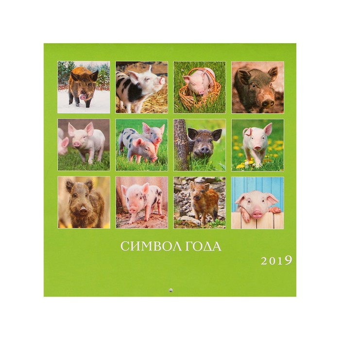 Календарь на скрепке "Символ года - 2" 2019 год, 28,5х28,5см
