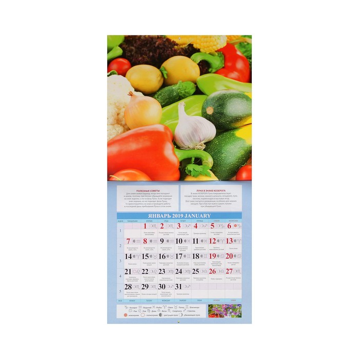 Календарь на скрепке "Садово-огородный" 2019 год, 28,5х28,5см