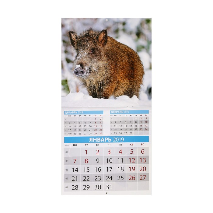 Календарь на скрепке "Символ года - 1" 2019 год, 23х23см