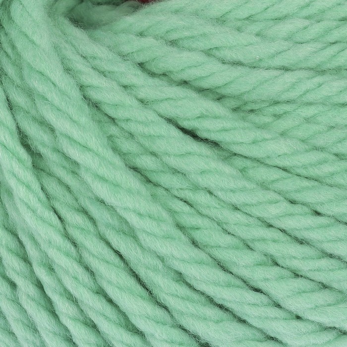 Пряжа "Меринос Канберра" 50% мерин.шерсть, 50% акрил 50м/100гр (0057 св. салат)