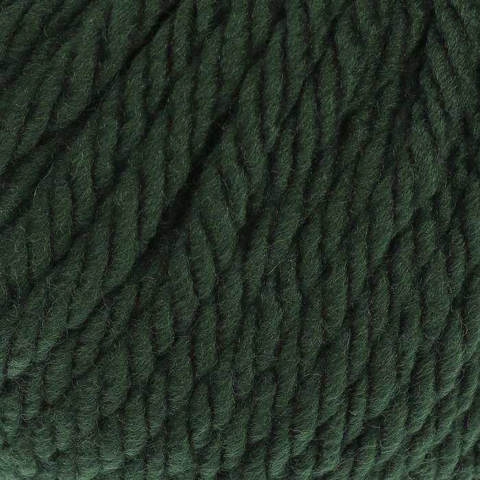 Пряжа "Меринос Канберра" 50% мерин.шерсть, 50% акрил 50м/100гр (0112 зелёный)