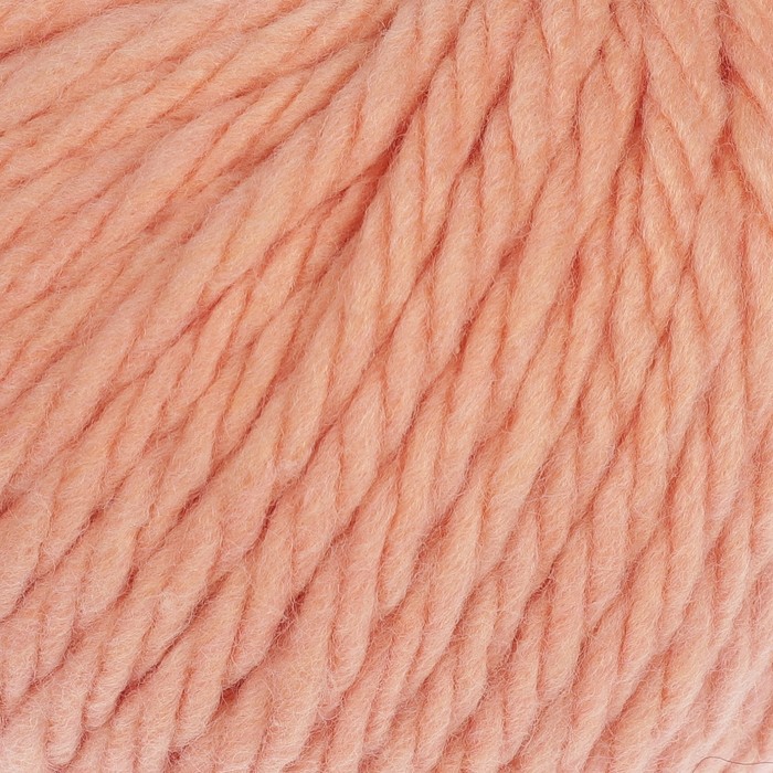 Пряжа "Меринос Канберра" 50% мерин.шерсть, 50% акрил 50м/100гр (0463 само)