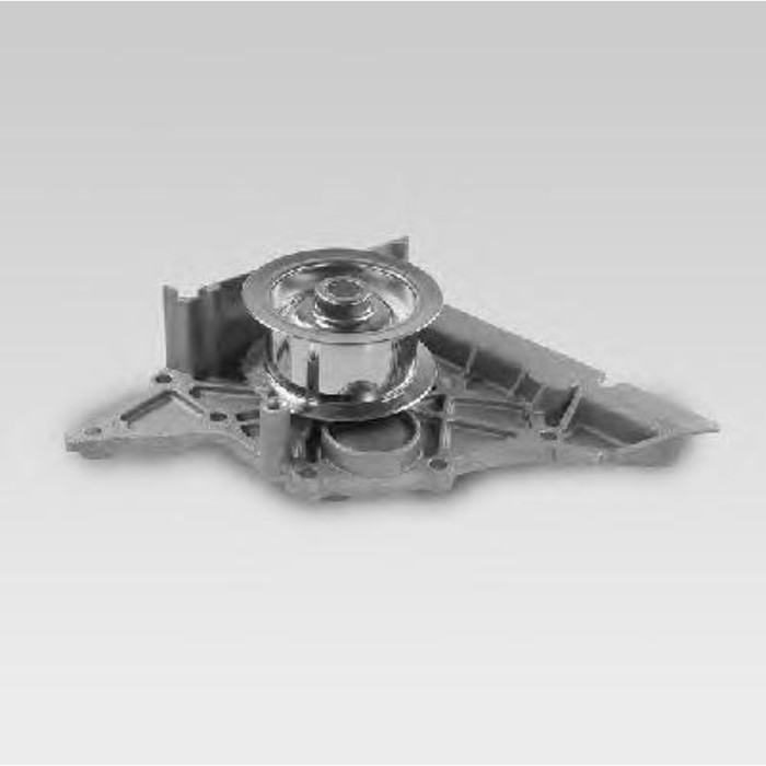 Насос водяной HEPU P579