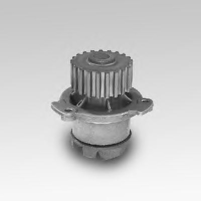 Насос водяной HEPU P624