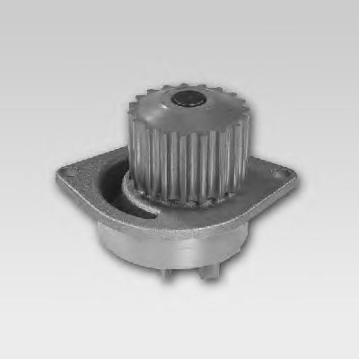 Насос водяной HEPU P891