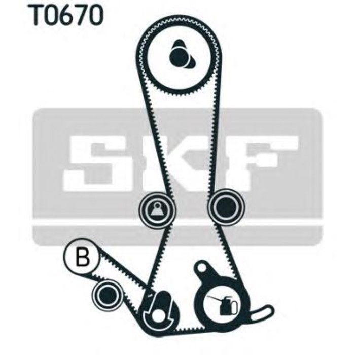 Ремкомплект ГРМ SKF VKMA95019