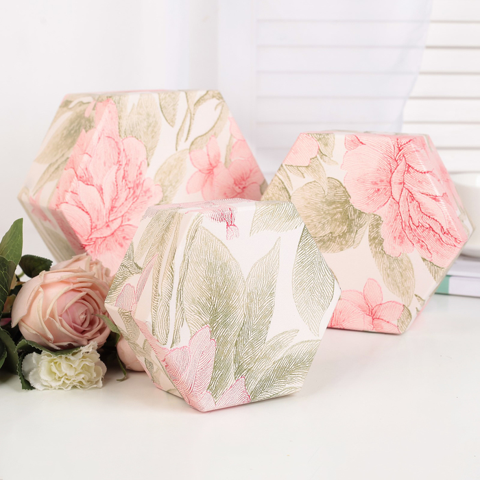 Набор коробок 3в1, 19 х 19 х 10 - 14 х 14 х 7 см