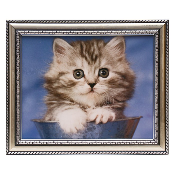 Картина "Серый котёнок" 24х29 см