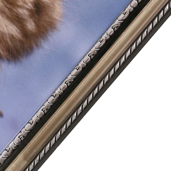 Картина "Серый котёнок" 24х29 см