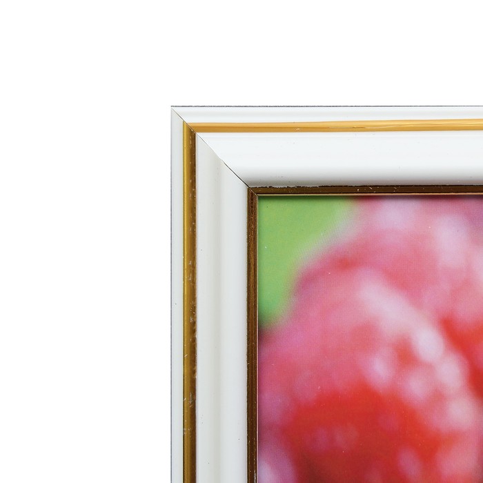 Картина "Сладкая малина" 29х24 см