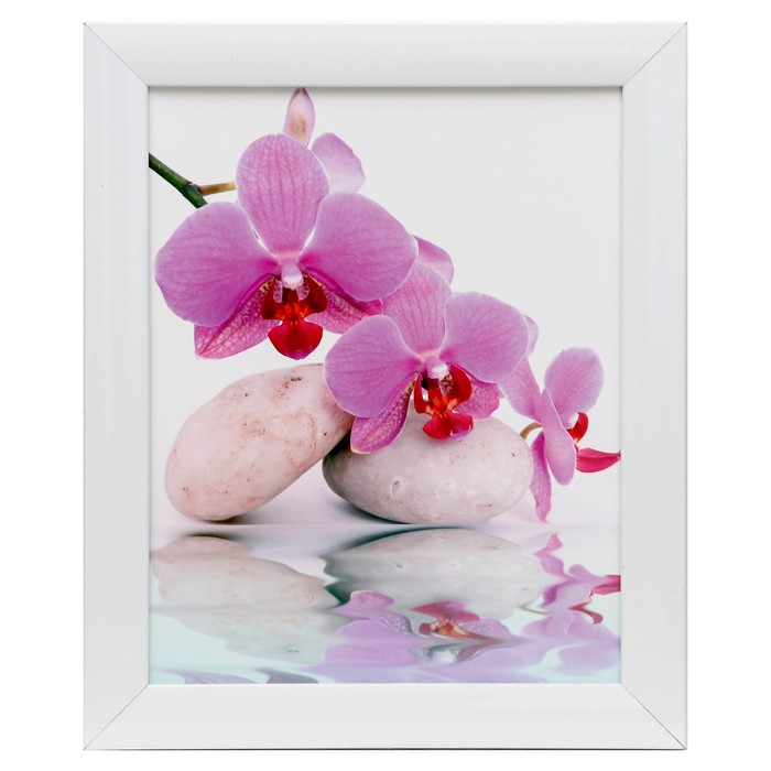 Картина "Орхидея на камнях" 29х24 см