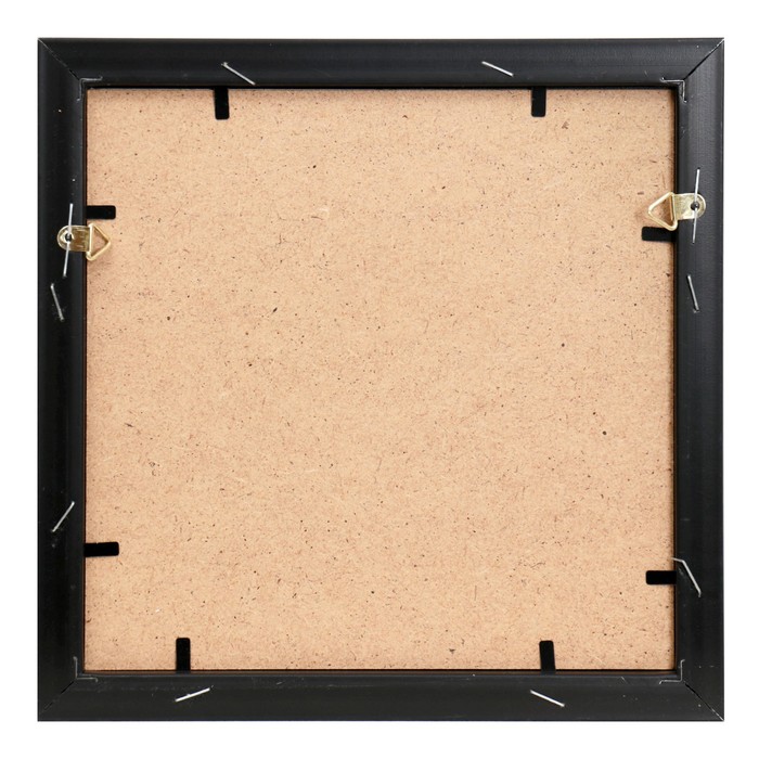 Картина "Цветы в прихожей" 20х20 см