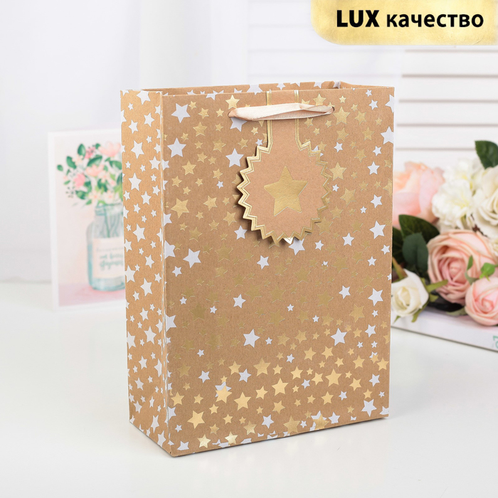 Пакет крафт, люкс, 22 х 11 х 30 см