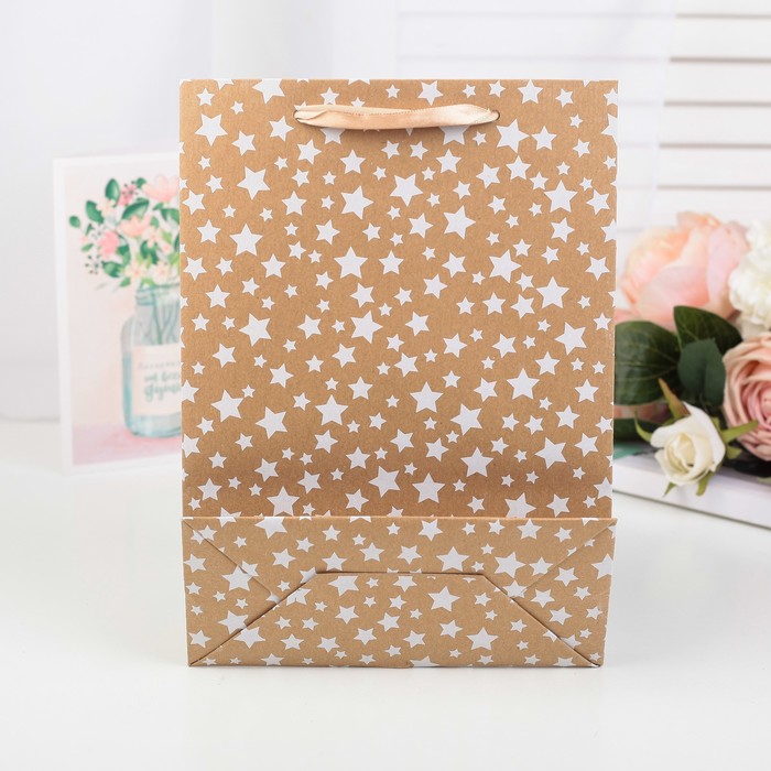 Пакет крафт, люкс, 22 х 11 х 30 см