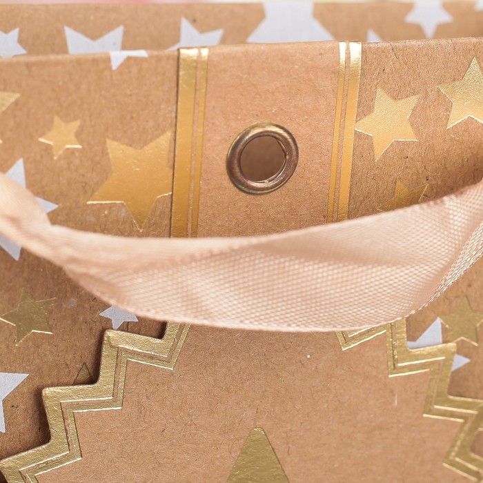 Пакет крафт, люкс, 22 х 11 х 30 см