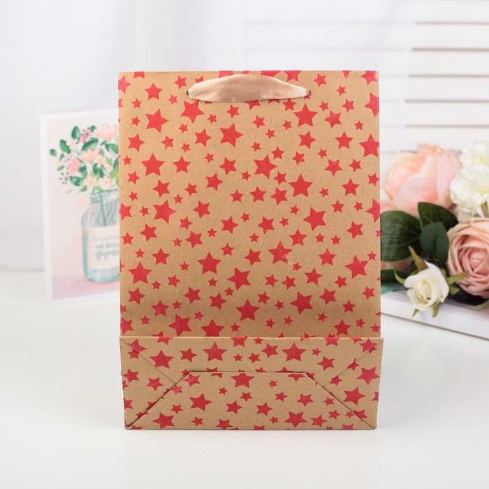 Пакет крафт, люкс, 22 х 11 х 30 см