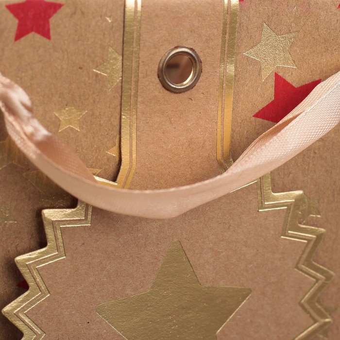 Пакет крафт, люкс, 18 х 8 х 25 см