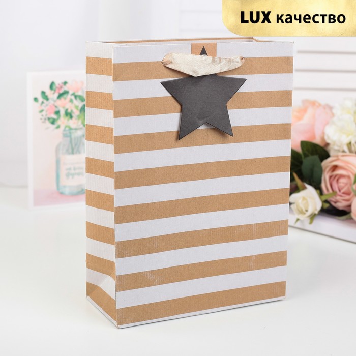 Пакет крафт, люкс, 18 х 8 х 25 см