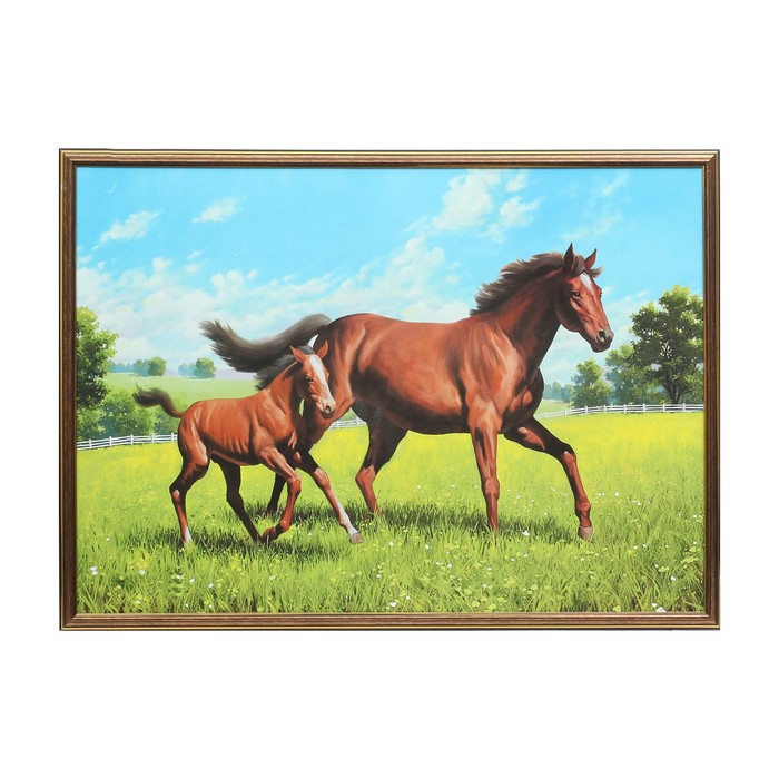 Картина "Конь с жеребёнком" 53х73 см