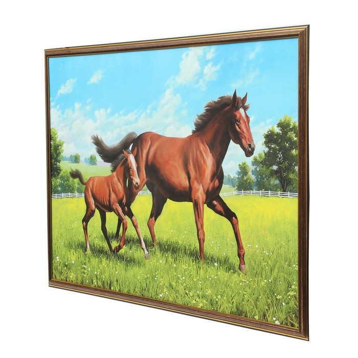 Картина "Конь с жеребёнком" 53х73 см