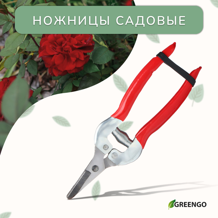 

Ножницы садовые, 7" (18 см), с металлическими ручками, обрезиненная ручка, Greengo