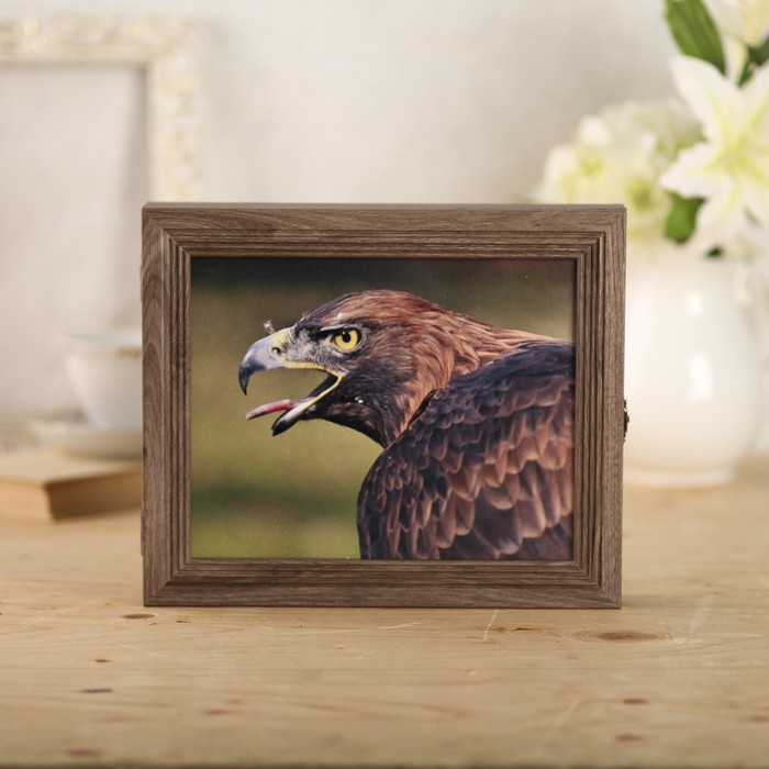 Ключница "Орел" коричневая 30х25х5 см