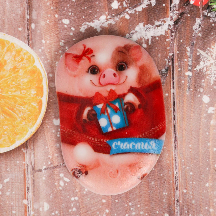 Магнит "Счастья" 55х80 мм СГ