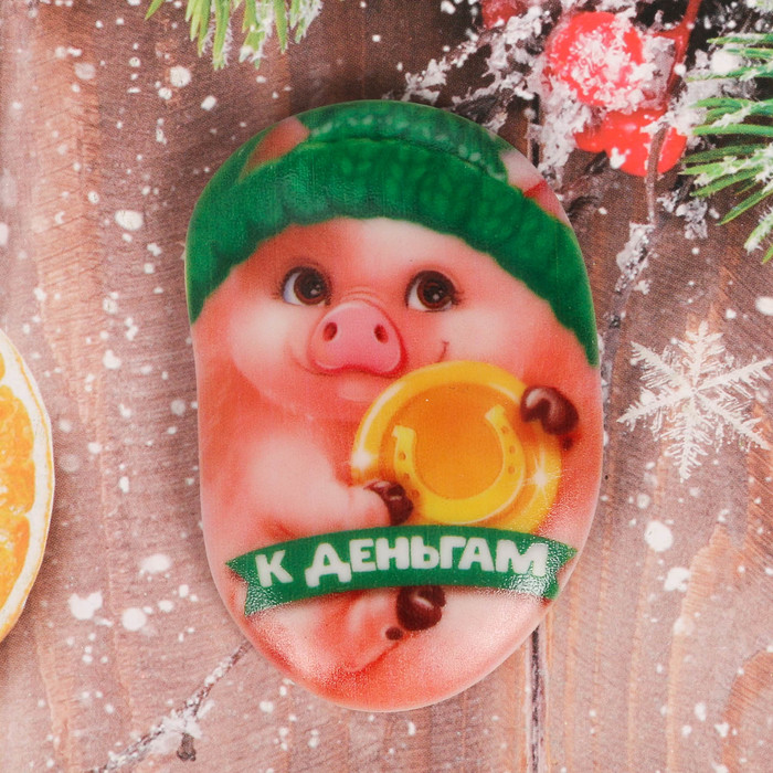 Магнит "К деньгам" 55х80 мм СГ