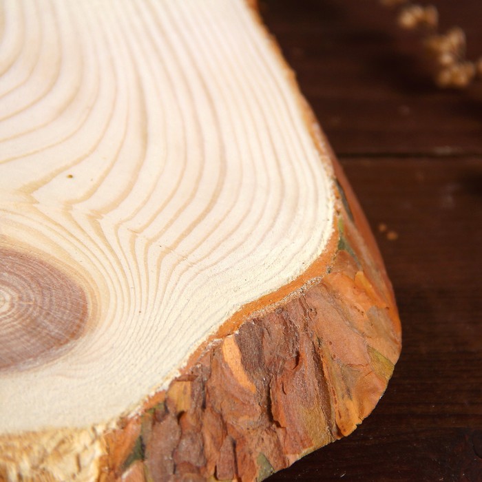 Спил сосны косой, шлифованный с одной стороны, 19х37см, толщина 1,5см