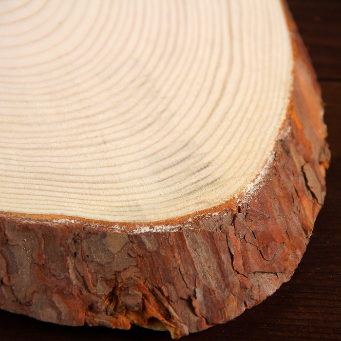 Спил сосны косой, шлифованный с одной стороны, 21х43см, толщина 1,5см