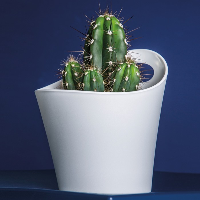 Органайзер POTTICHELLI M, голубой