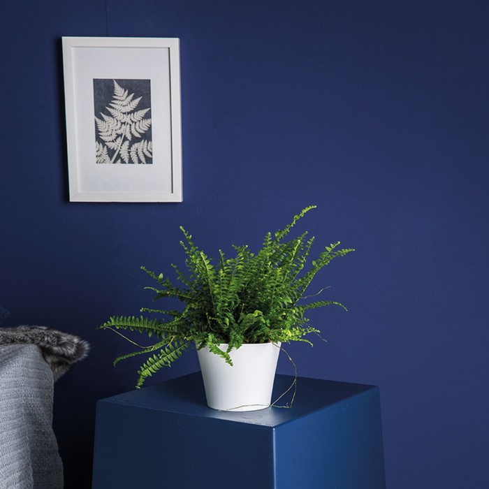 Органайзер POTTICHELLI M, зелёный