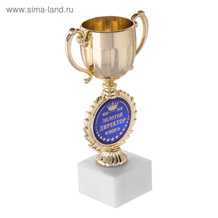 

Кубок малый с чашей «Директор», 17,5 х 9,5 х 6,2 см