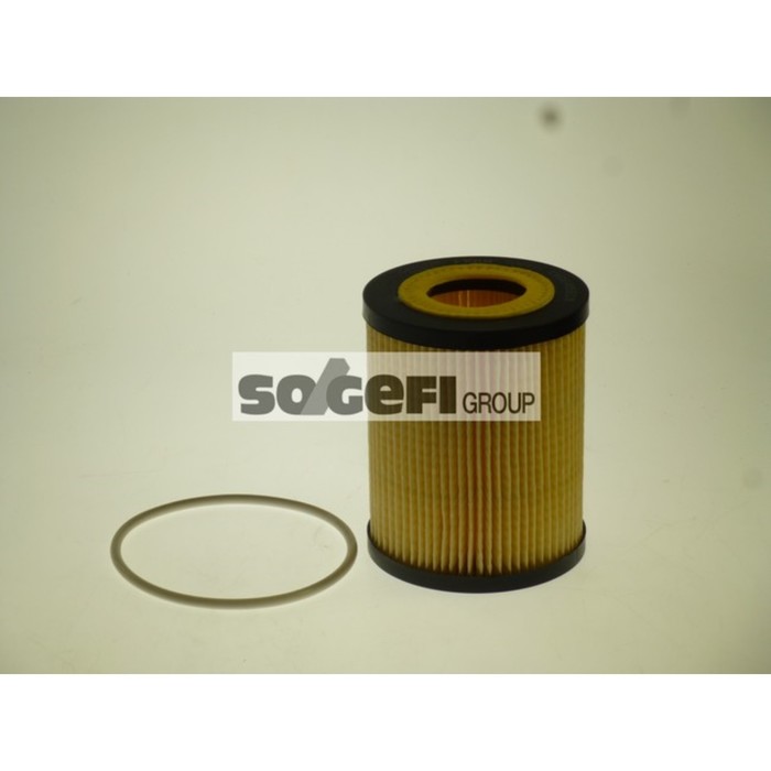 Фильтр масляный FRAM CH10415ECO