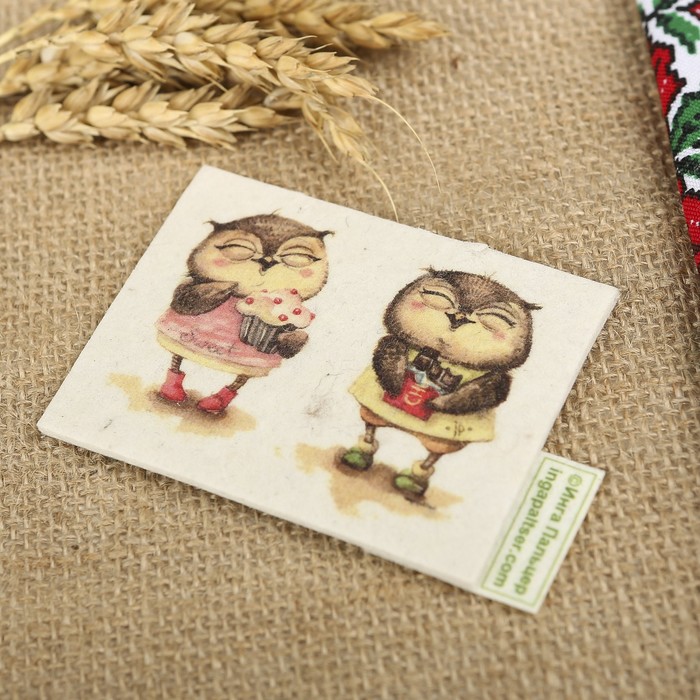 Магнит из войлока "Совы-сладкоежки" с авторскими рисунками Инги Пальцер