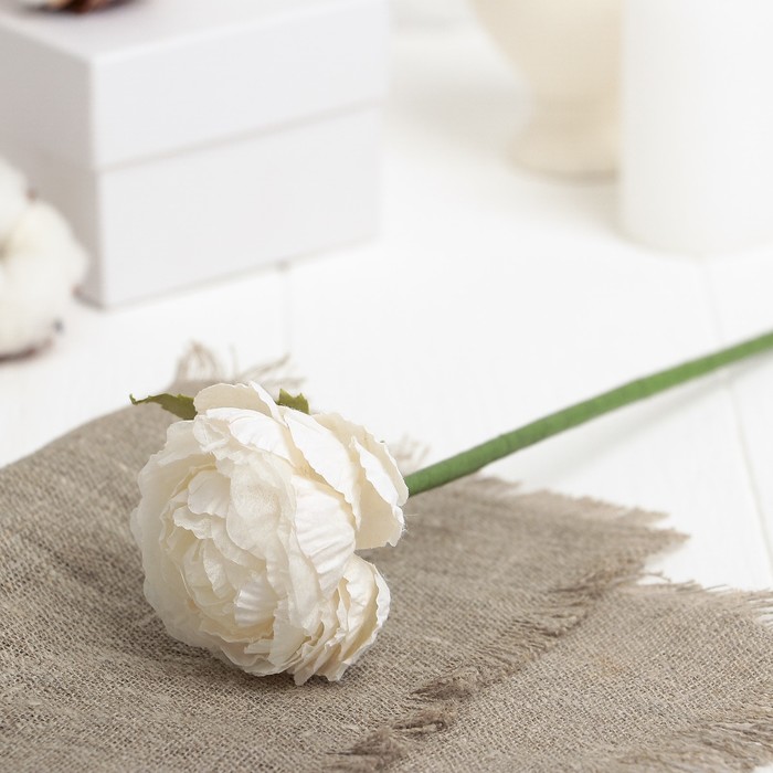 Искусственный цветок "Азиатский лютик" белый 25 см