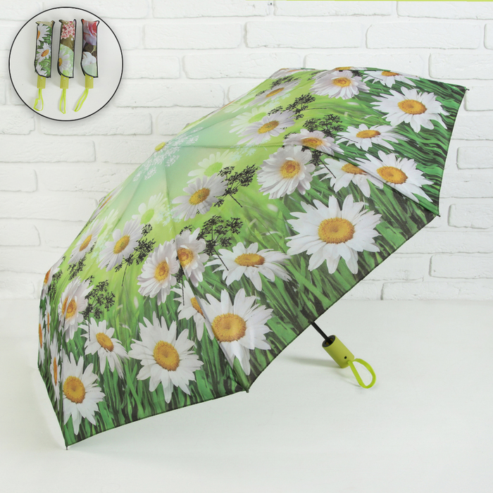 Зонт полуавтоматический "Ромашковое поле", R=49см, цвет зелёный