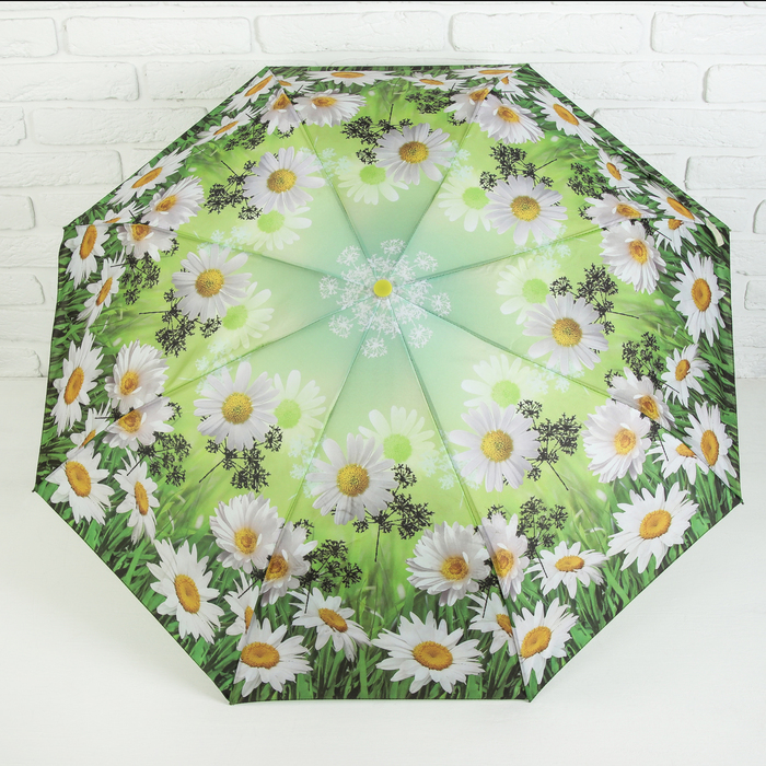 Зонт полуавтоматический "Ромашковое поле", R=49см, цвет зелёный