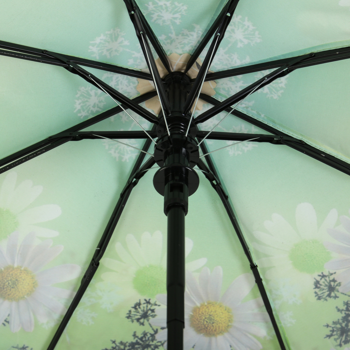 Зонт полуавтоматический "Ромашковое поле", R=49см, цвет зелёный