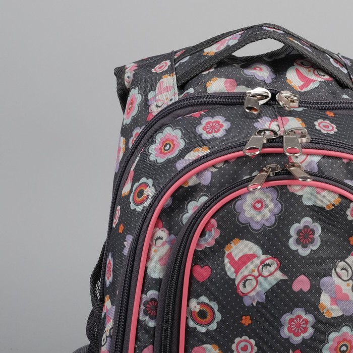 Рюкзак школьный "Совы в очках", 2 отдела, наружный карман, отдел для обуви, цвет серый