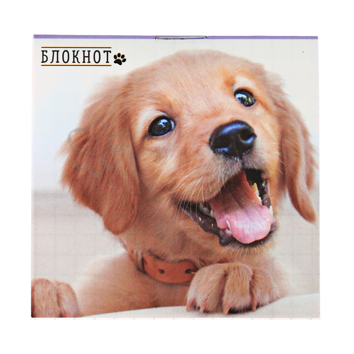 Блокнот "Собачка", 7 х 7 см, 16 листов